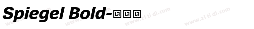 Spiegel Bold字体转换